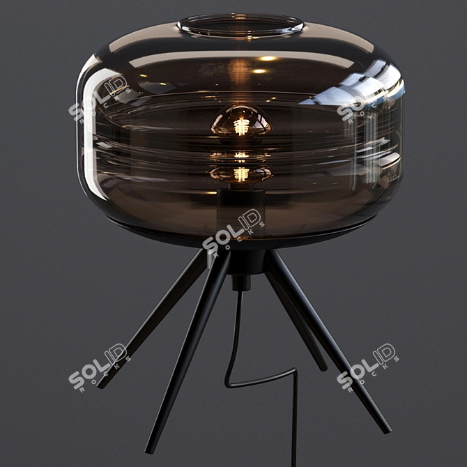 Adler Glass Dome Lamp: Modern Illuminate 3D model image 3