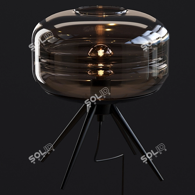 Adler Glass Dome Lamp: Modern Illuminate 3D model image 5