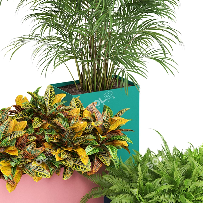 589 Plants Collection: Atelier Belge - Exquisite Greenery 3D model image 2