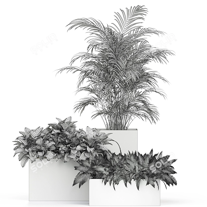 589 Plants Collection: Atelier Belge - Exquisite Greenery 3D model image 6