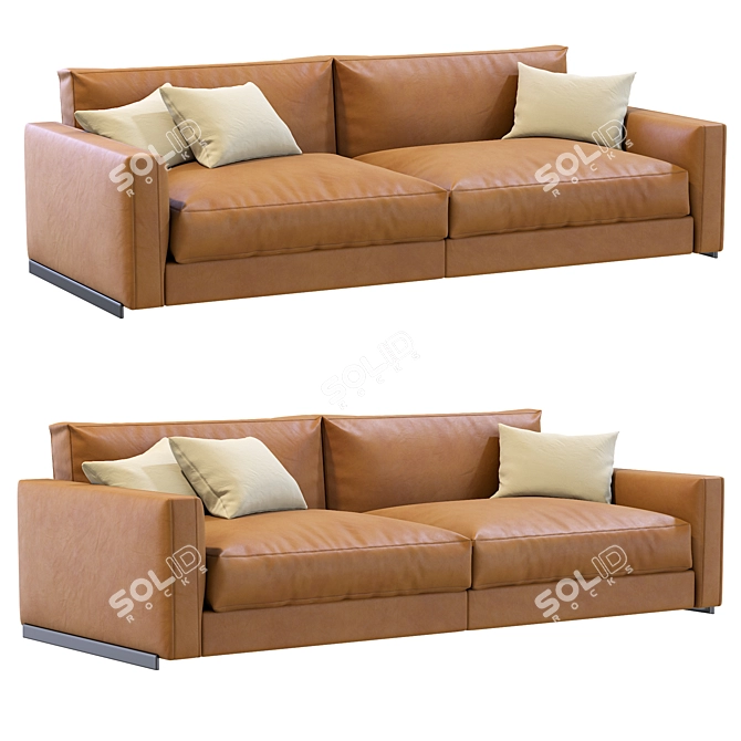 Arflex Rendez Vous Leather Sofa 3D model image 1