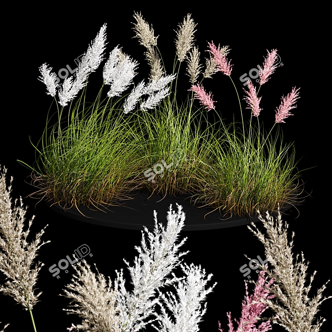 Premium Selloana Grass: Lifelike 3D Model 3D model image 1