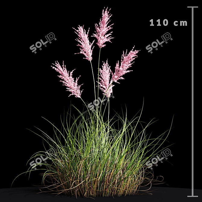 Premium Selloana Grass: Lifelike 3D Model 3D model image 3