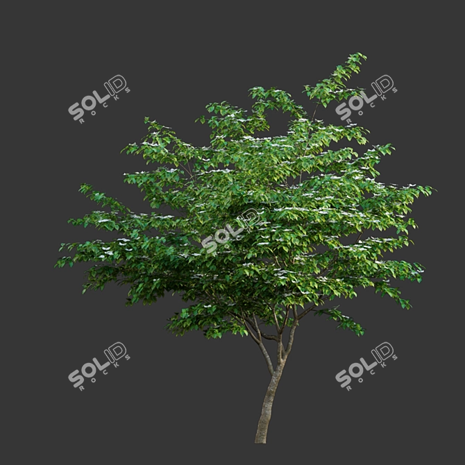 Versatile 3D Model Collection 3D model image 3