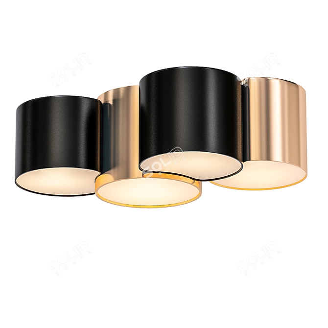 Elegant Black and Gold Ceiling Light 3D model image 1