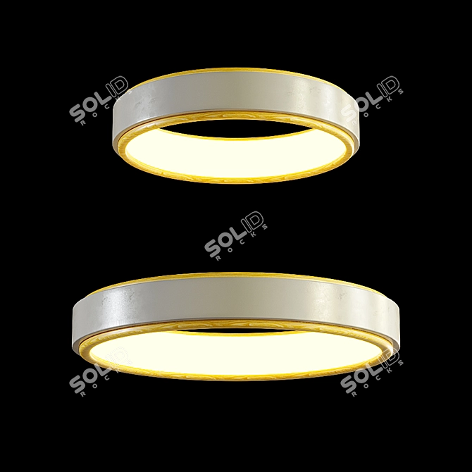 Elegant Lampatron Bristol Ceiling Light 3D model image 2