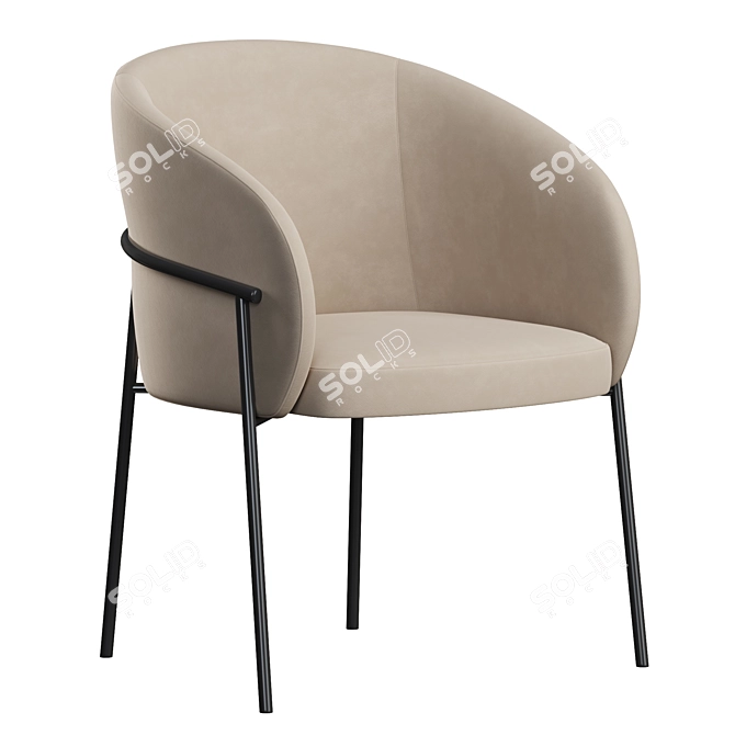 Rimo Modern Dining Chair 3D model image 1