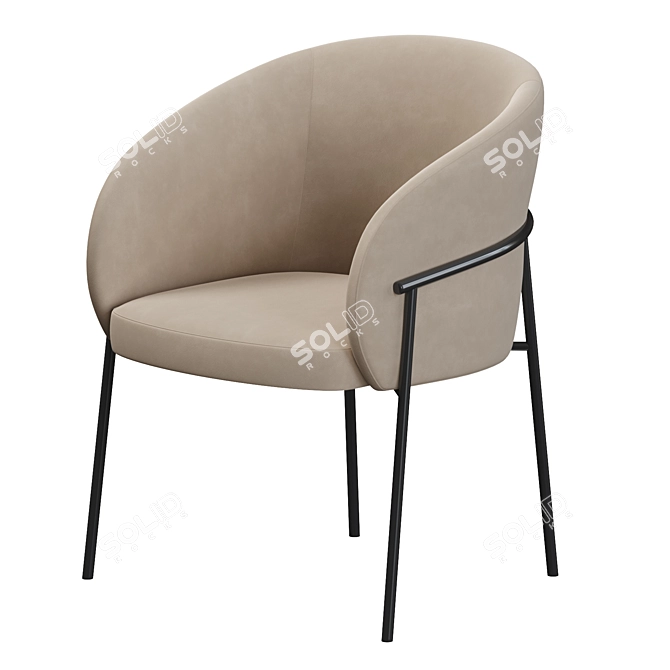 Rimo Modern Dining Chair 3D model image 2
