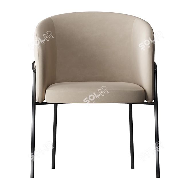 Rimo Modern Dining Chair 3D model image 3