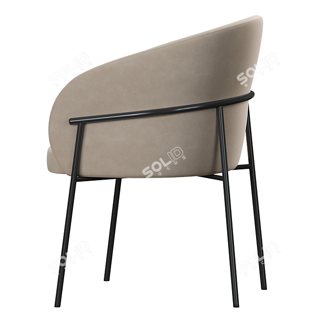 Rimo Modern Dining Chair 3D model image 4