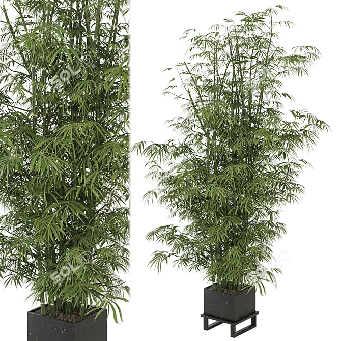  Lush Indoor Plants in Ferm Living Bau Pot Set 3D model image 2