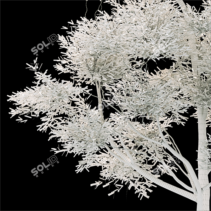 2014 Landscape Tree: Corona Render, 17m Height 3D model image 3
