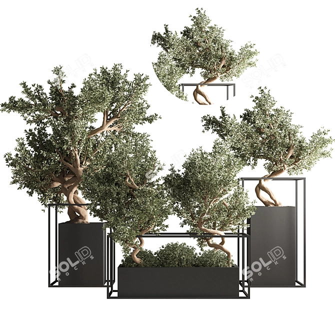 Indoor Bonsai Set: Natural Elegance 3D model image 1