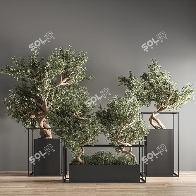 Indoor Bonsai Set: Natural Elegance 3D model image 2