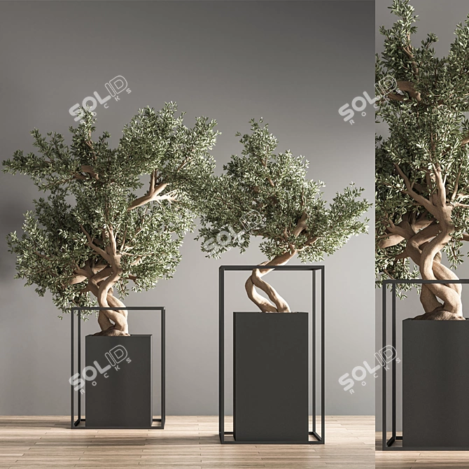 Indoor Bonsai Set: Natural Elegance 3D model image 3