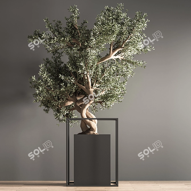 Indoor Bonsai Set: Natural Elegance 3D model image 4