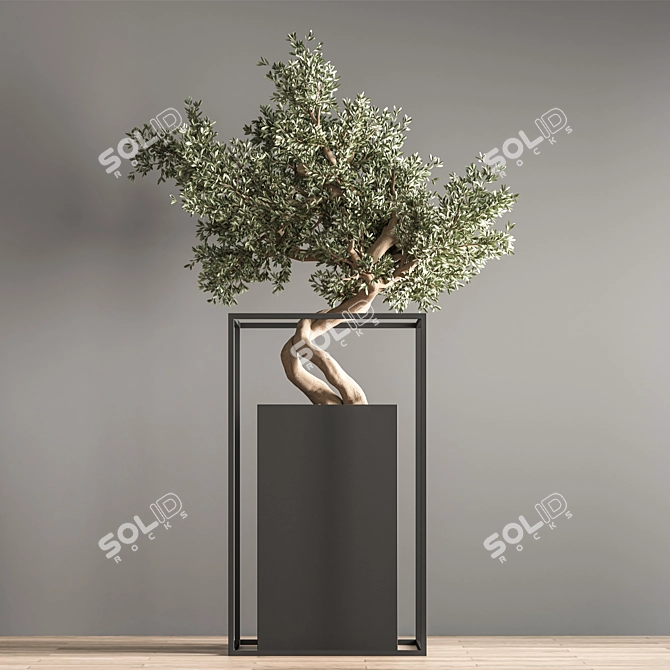 Indoor Bonsai Set: Natural Elegance 3D model image 5