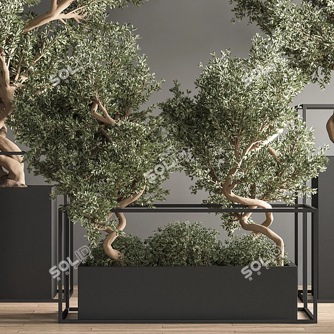 Indoor Bonsai Set: Natural Elegance 3D model image 6