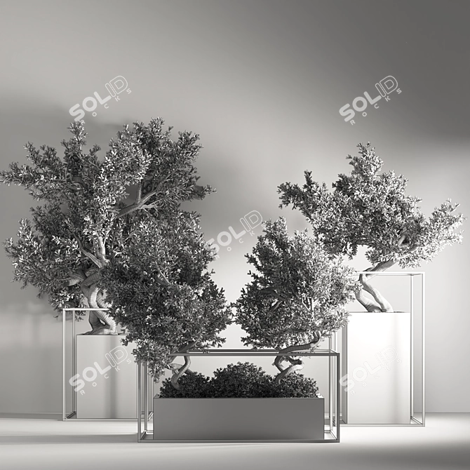 Indoor Bonsai Set: Natural Elegance 3D model image 7