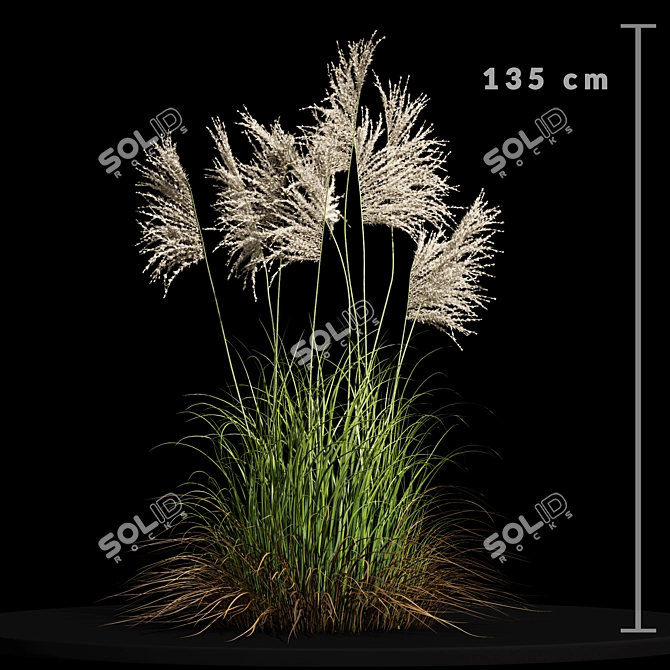 Ravenna Grass: Stunning 3D Model 3D model image 2