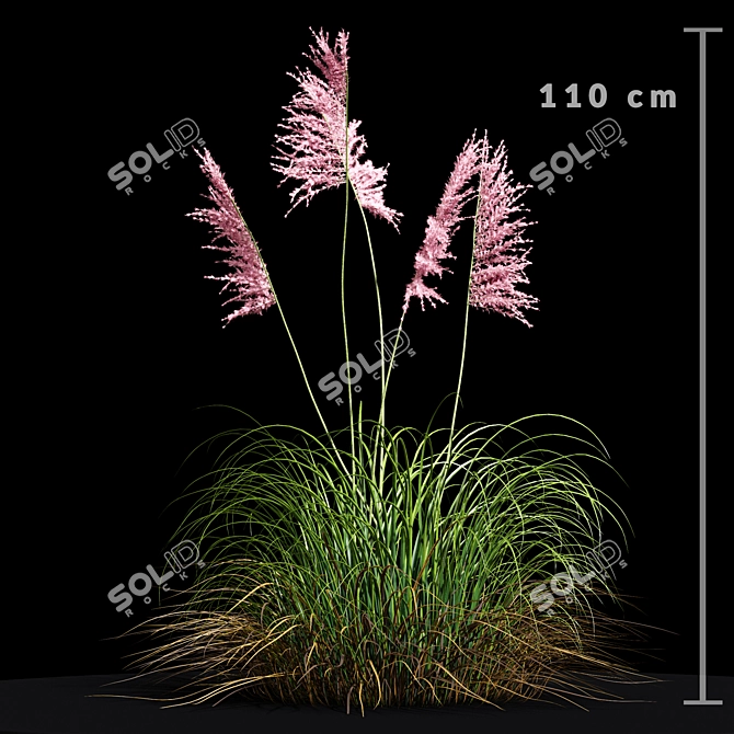 Ravenna Grass: Stunning 3D Model 3D model image 4