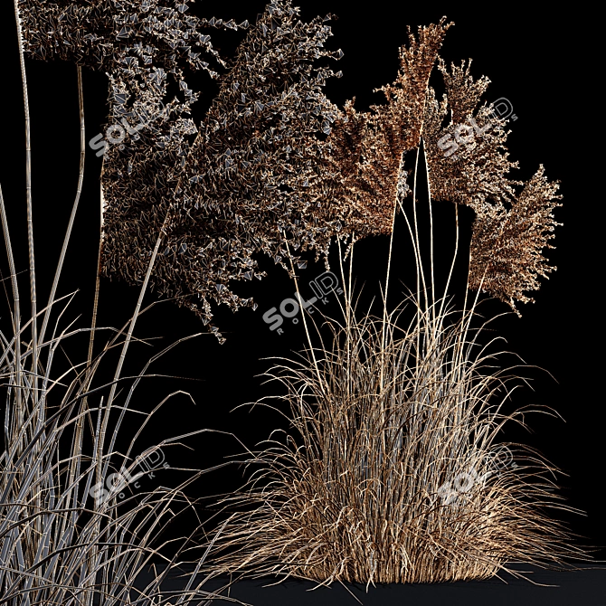 Ravenna Grass: Stunning 3D Model 3D model image 6