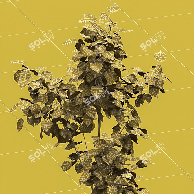 American Linden Seedlings in Tree Trunk Fence 3D model image 6