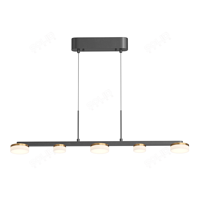 Elegant Disk LED Pendant Light 3D model image 2