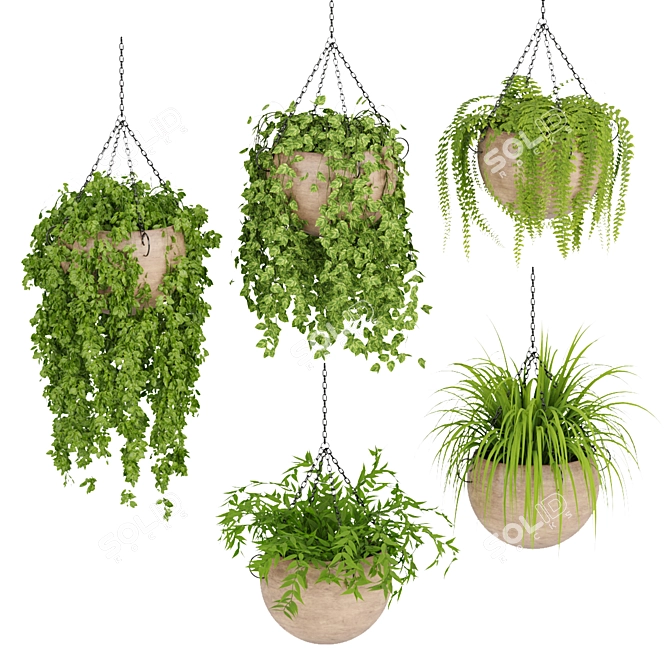 Indoor Hanging Plant Collection: Vol. 41 3D model image 1