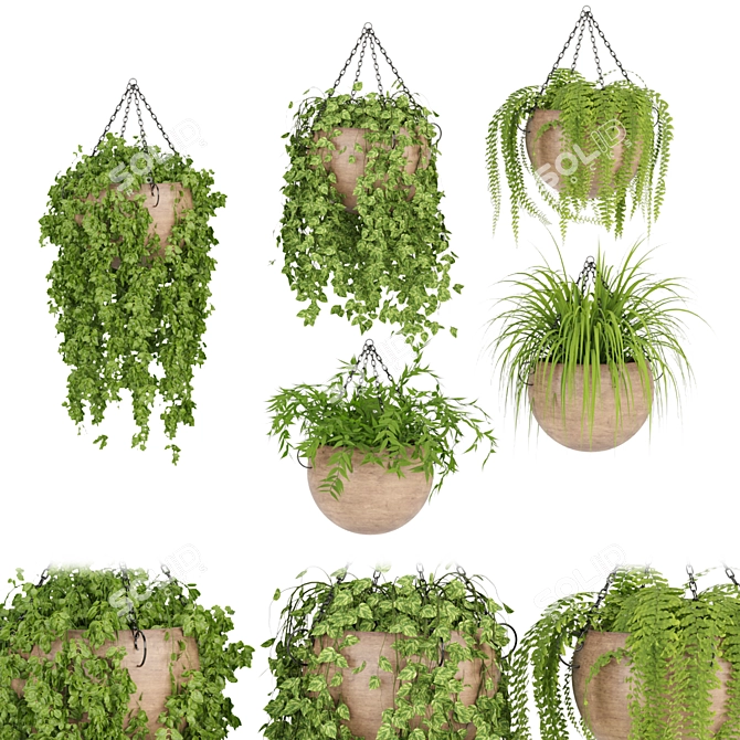 Indoor Hanging Plant Collection: Vol. 41 3D model image 2