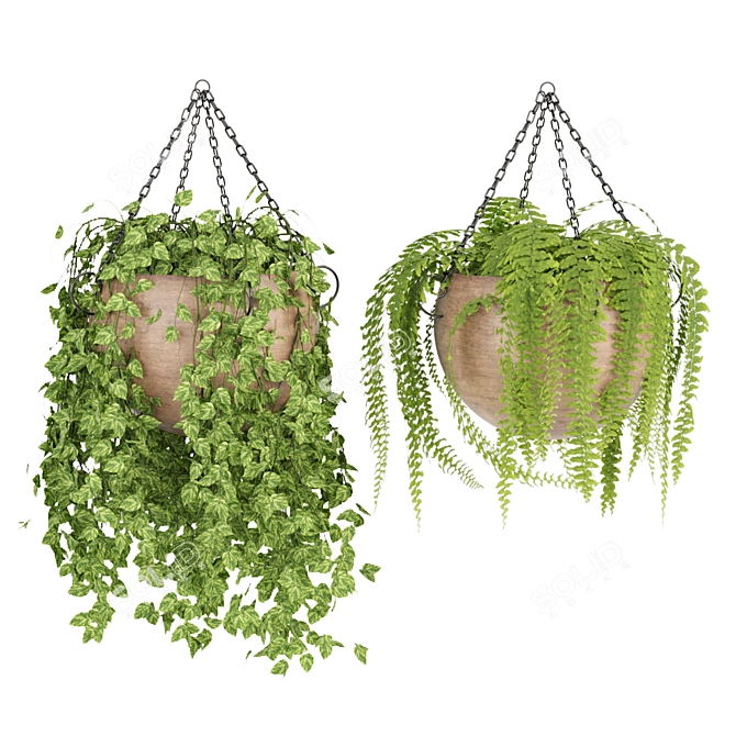 Indoor Hanging Plant Collection: Vol. 41 3D model image 5