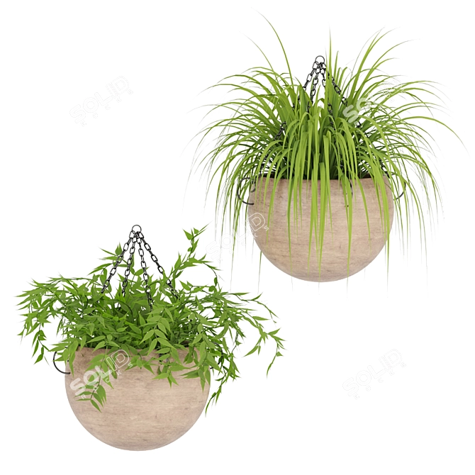 Indoor Hanging Plant Collection: Vol. 41 3D model image 6