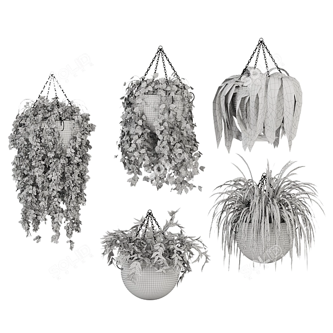 Indoor Hanging Plant Collection: Vol. 41 3D model image 7