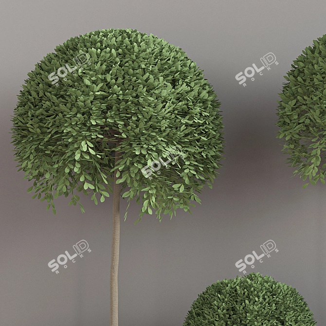 Lush Indoor Plant Set 3D model image 4