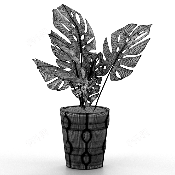 Exotic Monstera Plant: Add Tropical Vibes 3D model image 4