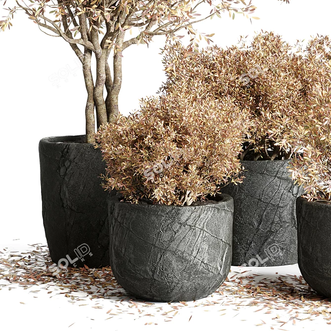 Autumn Plant Collection: 64 Dirty Stone Pots 3D model image 3