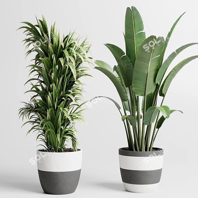 Dirty Concrete Pot Collection: 138 Indoor/Outdoor Plants 3D model image 3