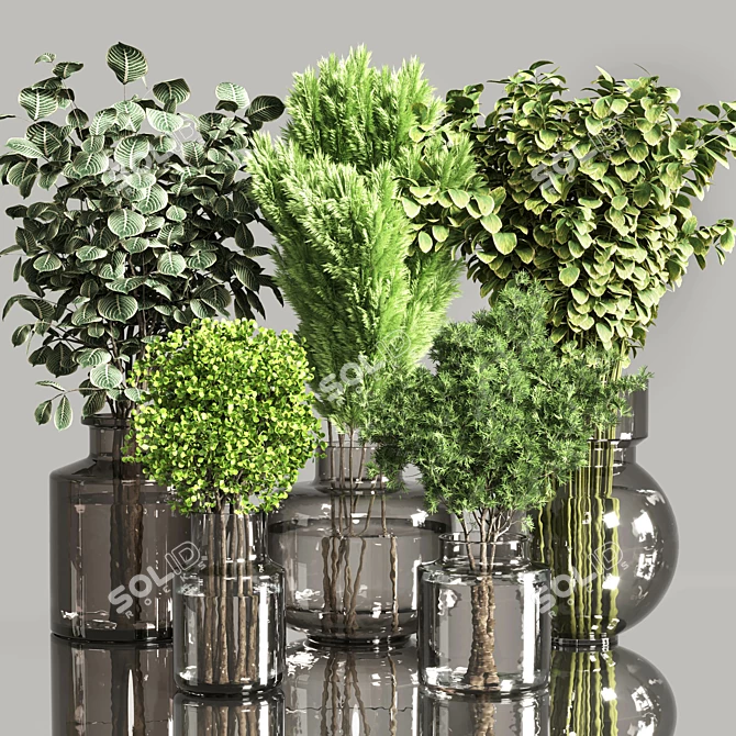 Indoor Plant Bouquet Collection 3D model image 1