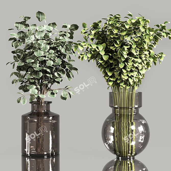 Indoor Plant Bouquet Collection 3D model image 2