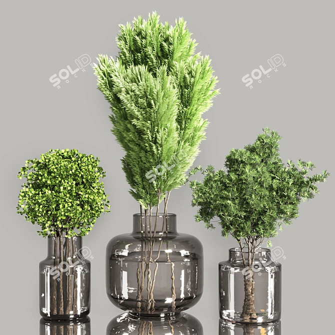 Indoor Plant Bouquet Collection 3D model image 3