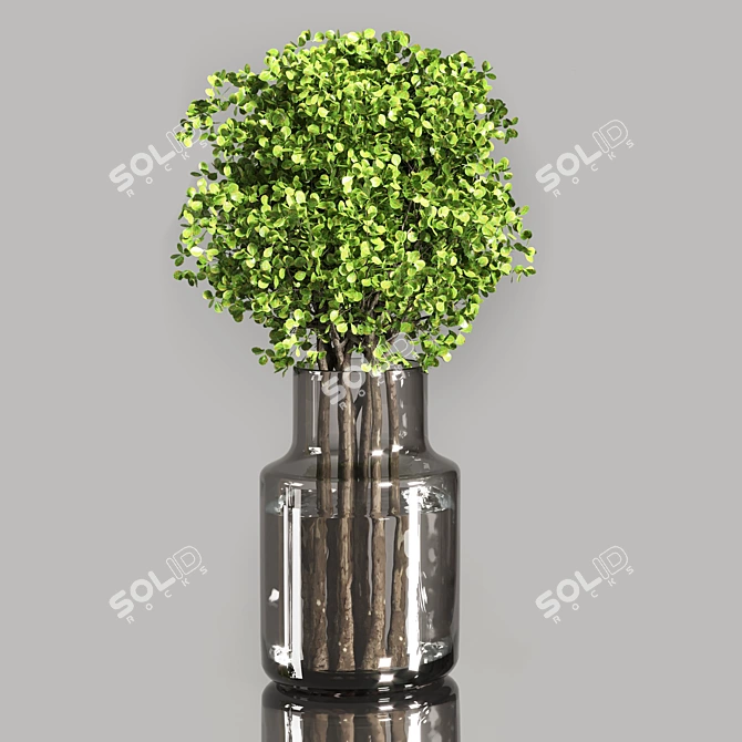 Indoor Plant Bouquet Collection 3D model image 5