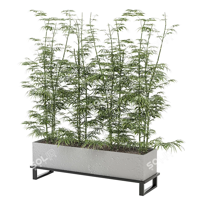 Ferm Living Bau Pot Large - Set 101: Indoor Greenery 3D model image 3