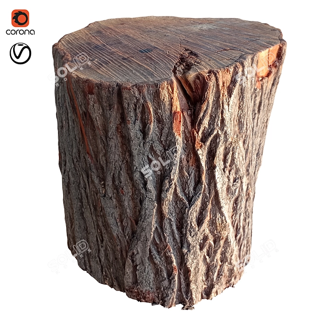 Modern Trunk 43: Stylish & Versatile 3D model image 1