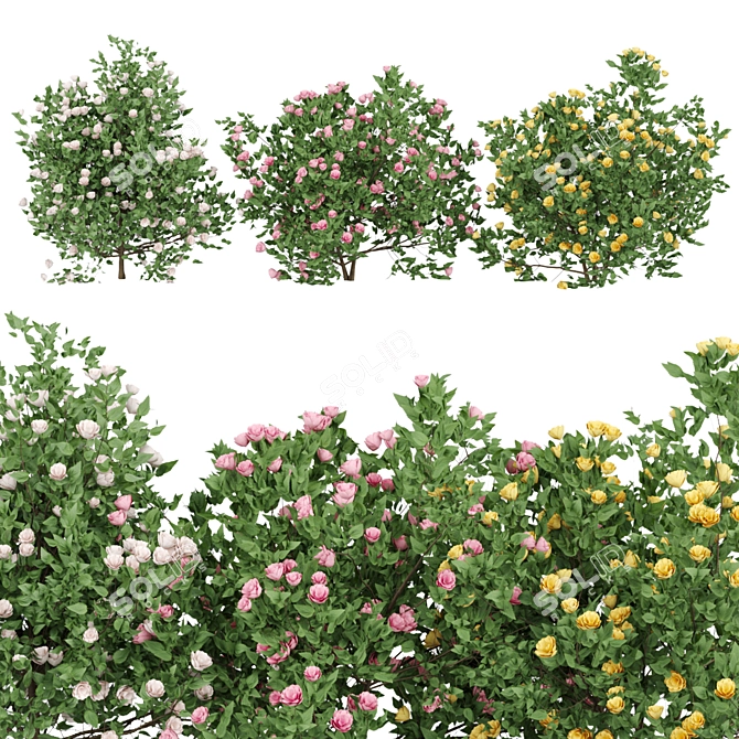 Blooming Bushes Variety Set 3D model image 1