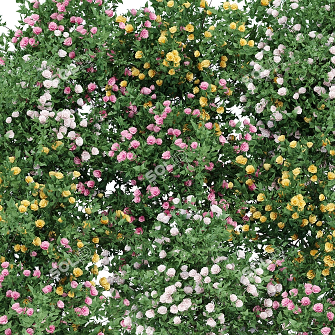 Blooming Bushes Variety Set 3D model image 2