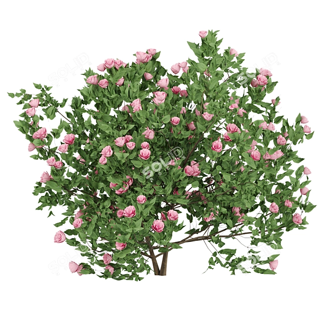 Blooming Bushes Variety Set 3D model image 4
