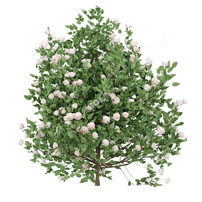 Blooming Bushes Variety Set 3D model image 5