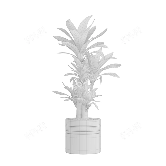 Tropical Indoor Plant Collection 3D model image 4