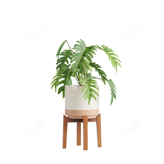 Tropical Indoor Plant Collection 3D model image 5