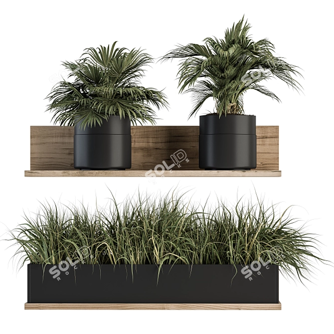 293 Indoor Plant Set 3D model image 1